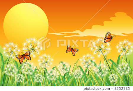 A sunset scenery with three orange butterflies 8352585