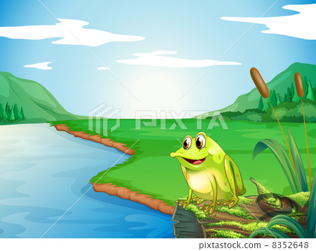 A frog at the riverbank A frog at the riverbank 8352648