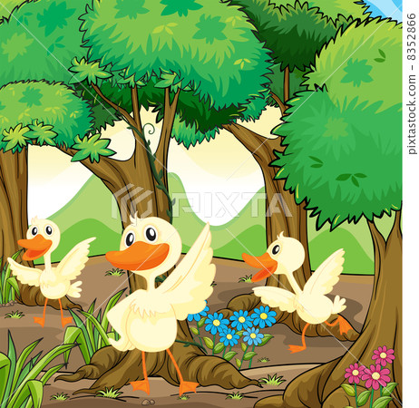 Three white ducks in the middle of the woods Three white ducks in the middle of the woods 8352866