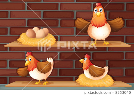 图库插图 positions of a hen laying eggs