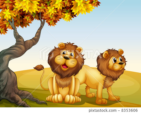 A big tree with two lions 8353606