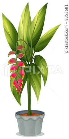 A healthy plant A healthy plant 8353691