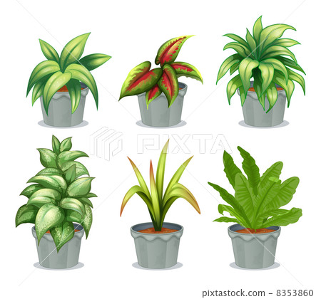 Green leafy plants Green leafy plants 8353860