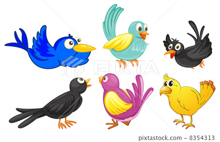Birds with different colors 8354313