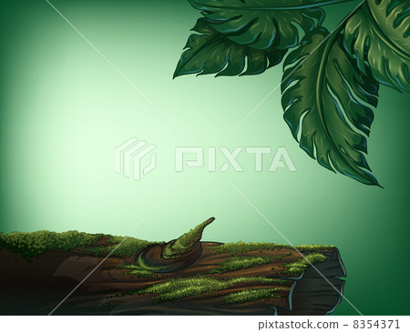 A trunk covered with algae 8354371