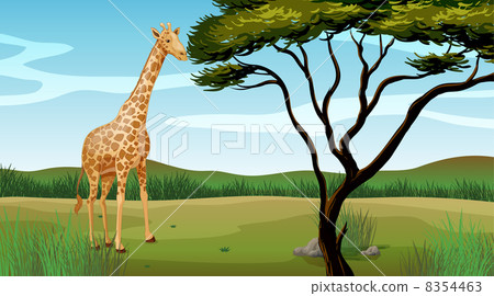 A giraffe 8354463