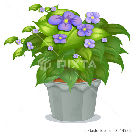 A plant with flowers A plant with flowers 8354523