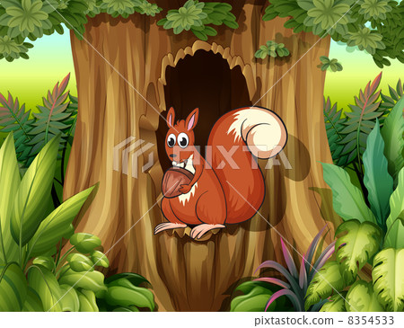 A squirrel in a hollow holding a nut A squirrel in a hollow holding a nut 8354533
