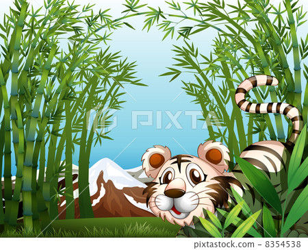 A tiger in a bamboo forest A tiger in a bamboo forest 8354538