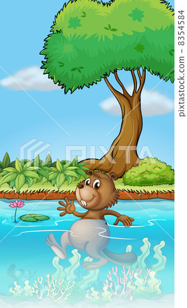 A swimming beaver 8354584