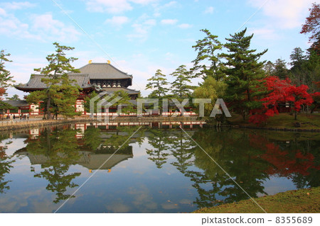 東大寺 照片素材 圖片 556 圖庫