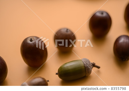 Acorn Acorn 8355798