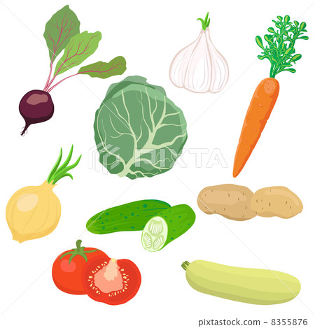 Vector vegetable set 8355876
