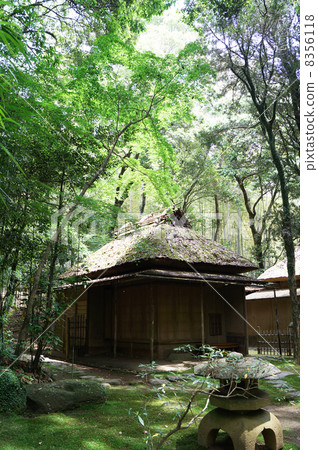 海拔輕輕地打動 8356118