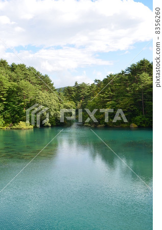 Bishamon Swamp of August 8356260