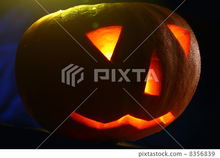 Halloween pumpkin 8356839
