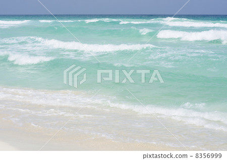 Transparent sea Transparent sea 8356999
