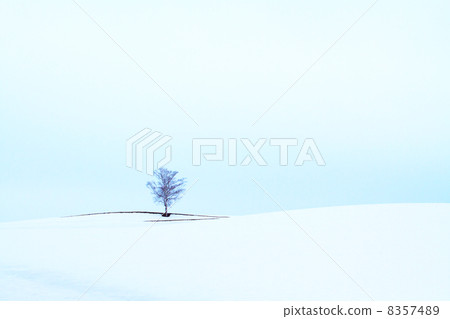 雪昭和山 雪昭和山 8357489