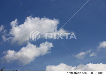 Sky  8358005