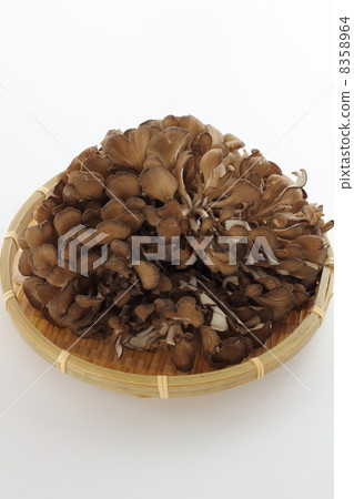 Maitake 8358964