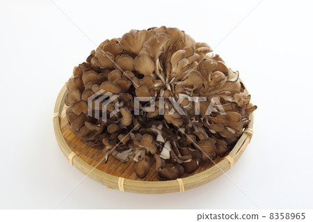 Maitake Maitake 8358965
