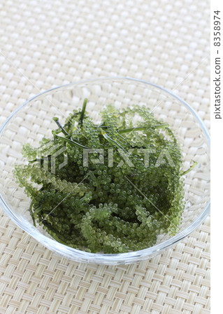 Umi grapes Umi grapes 8358974
