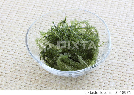 Umi grapes Umi grapes 8358975