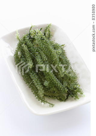 海米葡萄 海米葡萄 8358980