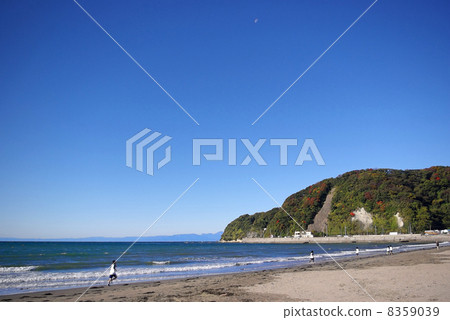 Zushi coast of November under a clear blue sky 8359039