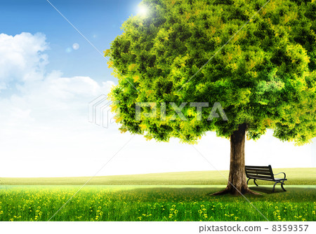 Nature 2030794_BEST Nature 2030794_BEST 8359357