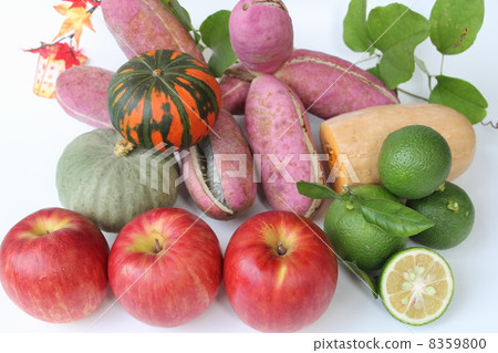 秋天的味道 秋天的味道 8359800