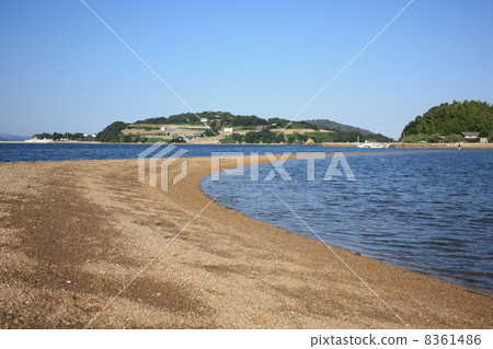 Ushimono Venus Road Ushimono Venus Road 8361486