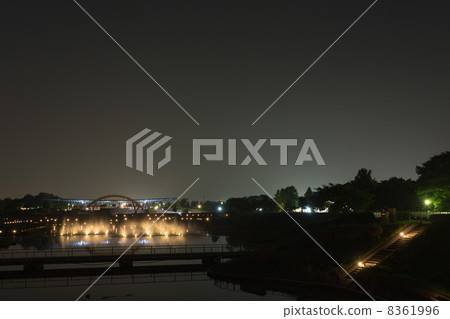 Hitachihama Park of the Night 8361996