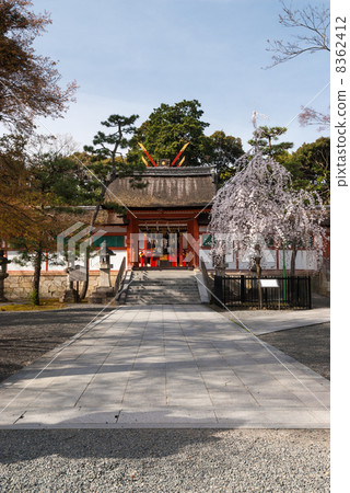 Saikai Oimoto 8362412