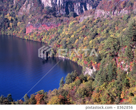 Autumnal leaves on the shore of Towada 8362856