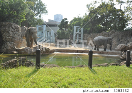 一個動物園 8363582