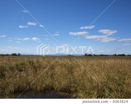 釧路在秋天停泊 8363824