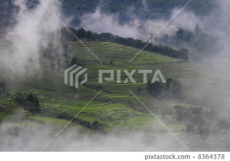 Clouds climbing up to the rice paddy field (Yunnan Province, Yunnan Scenic Area, Yunnan Province, China) Clouds climbing up to the rice paddy field (Yunnan Province, Yunnan Scenic Area, Yunnan Province, China) 8364378