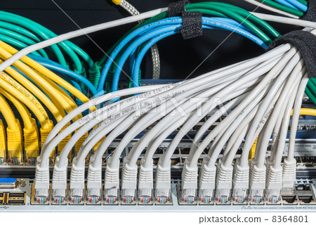 network cables connected to switch network cables connected to switch 8364801