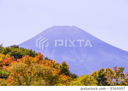 初秋的富士山 初秋的富士山 8364907