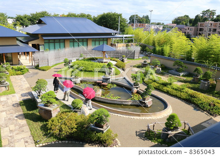 Saitama City Omiya Bonsai Museum of Art 8365043