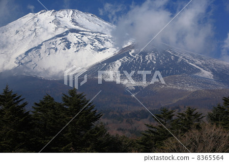 Mt. Fuji from Mizugatsuka Park Mt. Fuji from Mizugatsuka Park 8365564