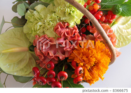 Flower arrangement flower plant flower basket... - Stock Photo