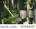 Guide to mountain path 8366685