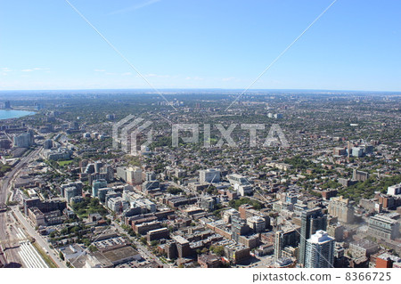 多倫多的街道 8366725