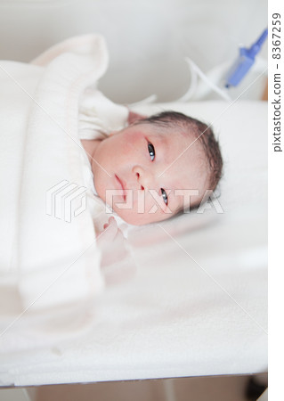 出生後立即(0日齡) 出生後立即(0日齡) 8367259