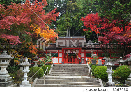 Kyoto Ohara Shrine 8367680