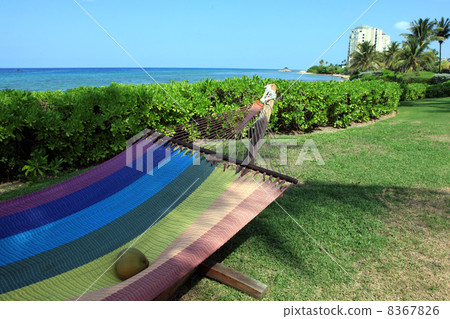 Jamaican hammock and palm coast Jamaican hammock and palm coast 8367826