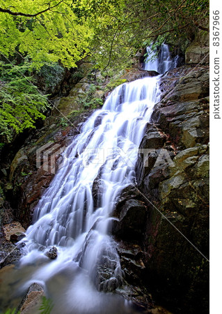 Senjuin Falls 8367966