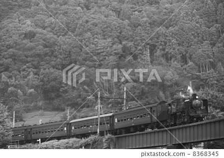 Oigawa Railway SL Oigawa Railway SL 8368345